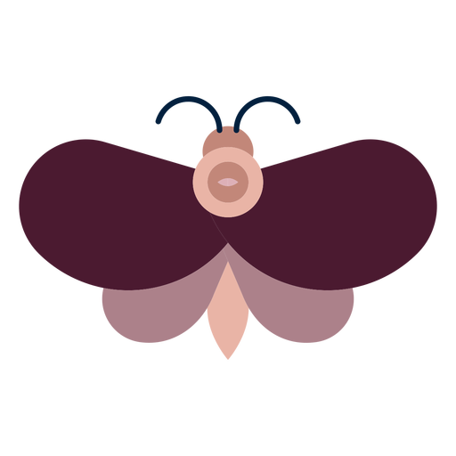 Mago mariposa plana Diseño PNG