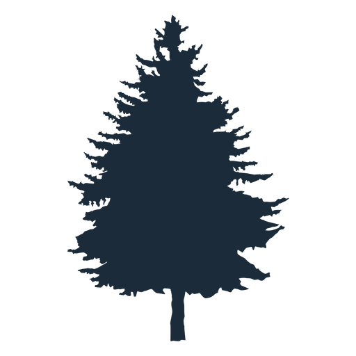 Pine tree PNG Design