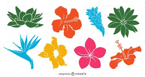 Featured image of post Vetor Flor Tropical Descarga gratis este vector de fondo de flor tropical y descubre m s de 10 millones de recursos gr ficos en freepik