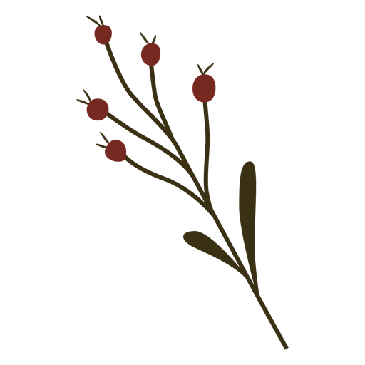 Cranberry Branch Blattfrucht flach PNG-Design