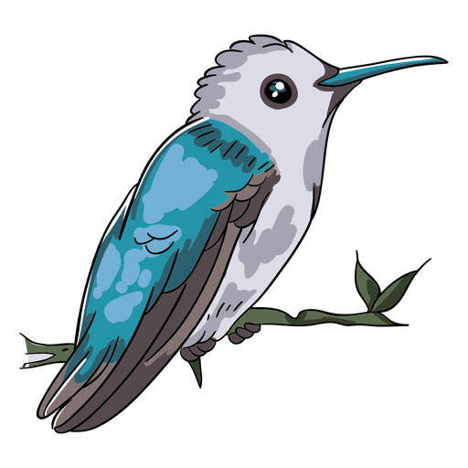 Realistic bird blue hummingbird illustration