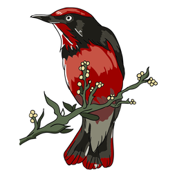 Realistic bird branch perch illustration PNG Design