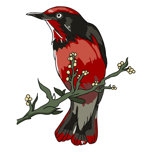 Ilustração realista de galho de pássaro Desenho PNG