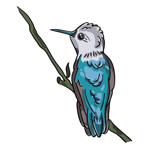 Ilustração realista de colibri de pássaro Desenho PNG