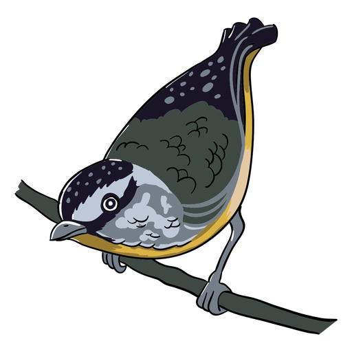 Realistic bird lean forward perching illustration PNG Design