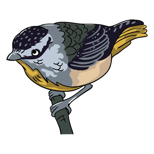 Realistic bird perching branch illustration PNG Design