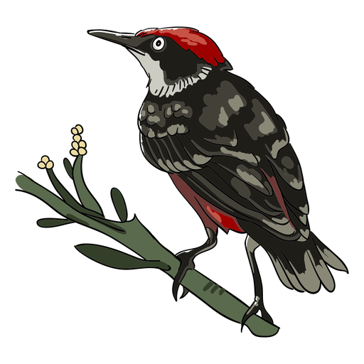 Red realistic bird branch profile illustration PNG Design