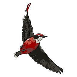 Ilustração de pássaro vermelho realista voando Ilustração de pássaro vermelho realista voando