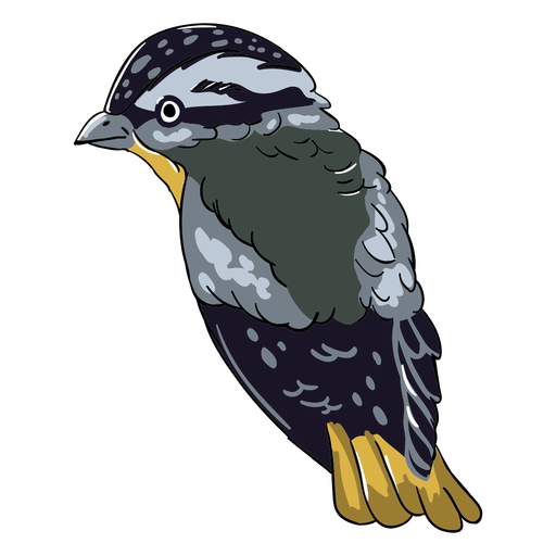 Sparrow realistic bird illustration PNG Design