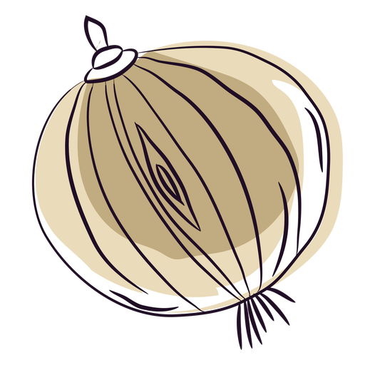 Beige hand drawn onion PNG Design
