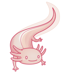 Axolotl cute colored