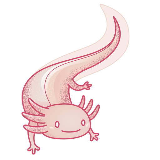 Axolotl fofo colorido