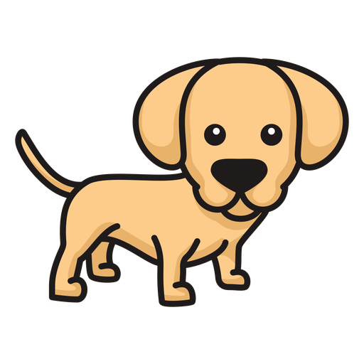 Cute Labrador Puppy Colored Transparent Png Svg Vector File