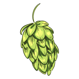 Lúpulo verde elaborado Diseño PNG