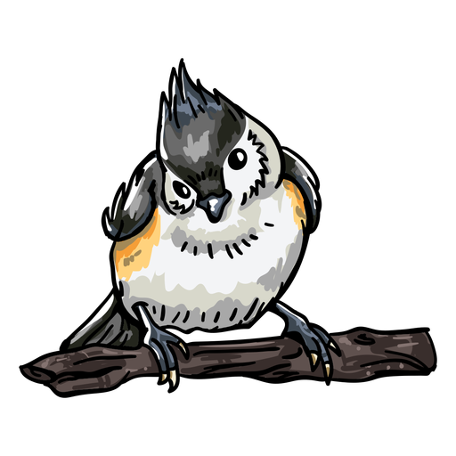 Realistic hand drawn bird front view PNG Design