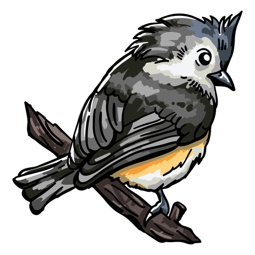 Pájaro posado realista dibujado a mano Diseño PNG