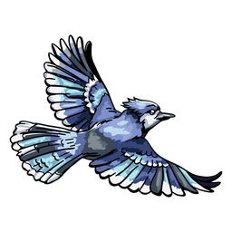 Gaio-azul desenhado a mão realista voando Desenho PNG