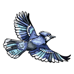 Realistic Hand Drawn Blue Jay Flying Transparent Png Svg Vector
