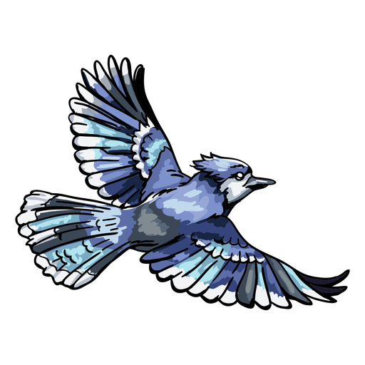 Gaio-azul desenhado a m?o realista voando Desenho PNG