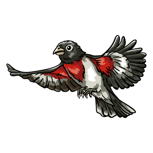 Realistic hand drawn rose throated grosbeak flying PNG Design