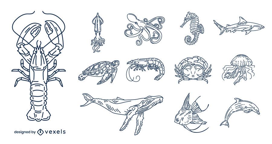 Paquete de ilustración de trazo de animales del océano Paquete de ilustración de trazo de animales del océano