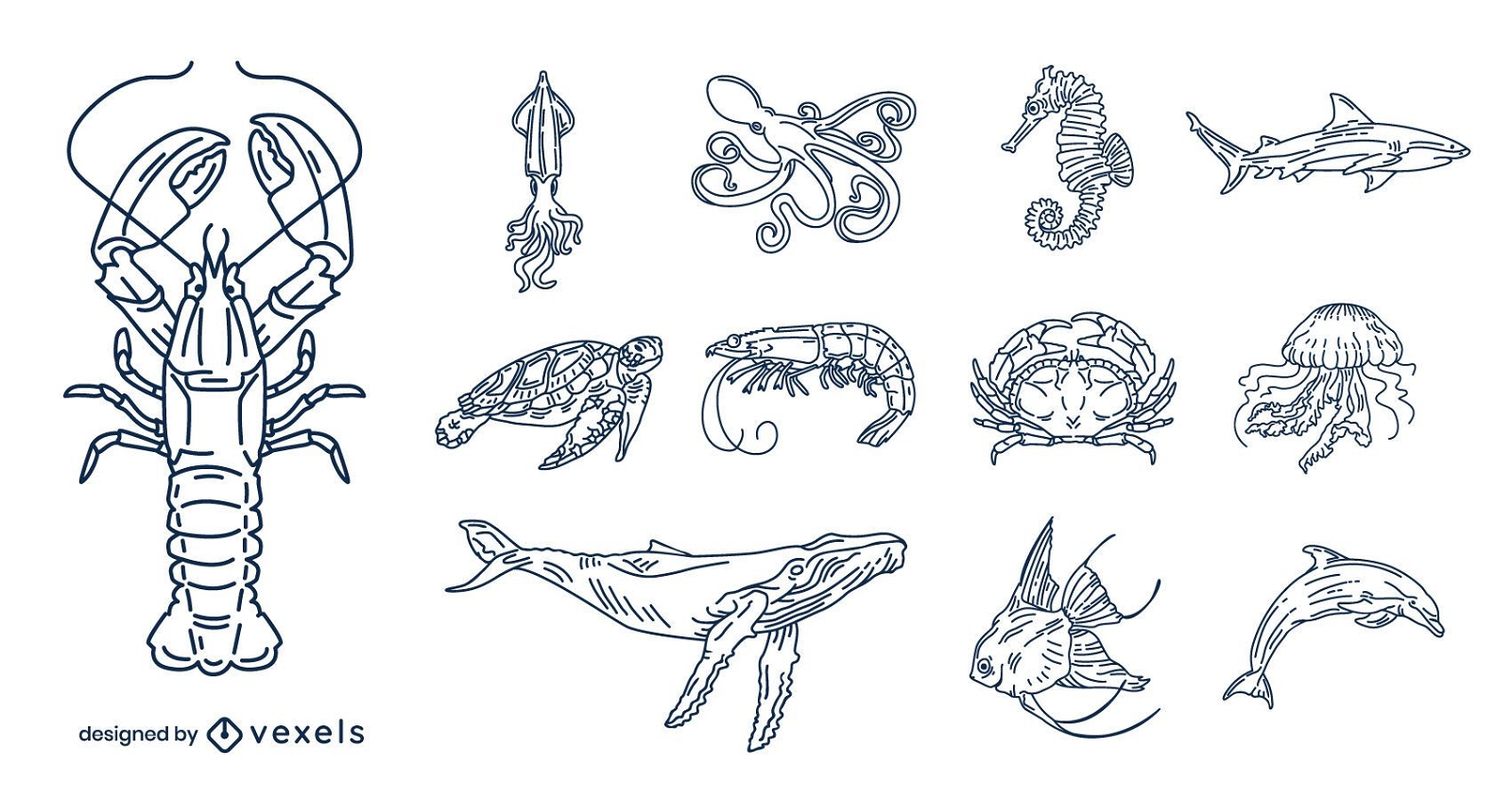 Ozean Tiere Schlaganfall Illustration Pack