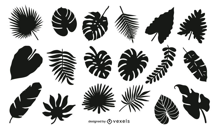 Paquete De Silueta De Hojas Tropicales Descargar Vector 1621