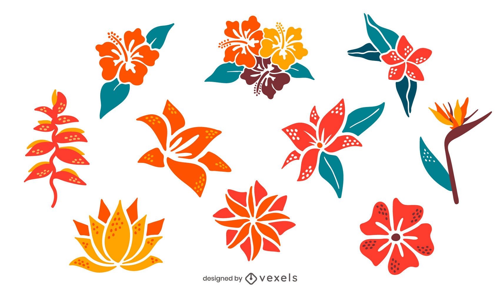 Paquete de ilustraciones de flores de colores tropicales