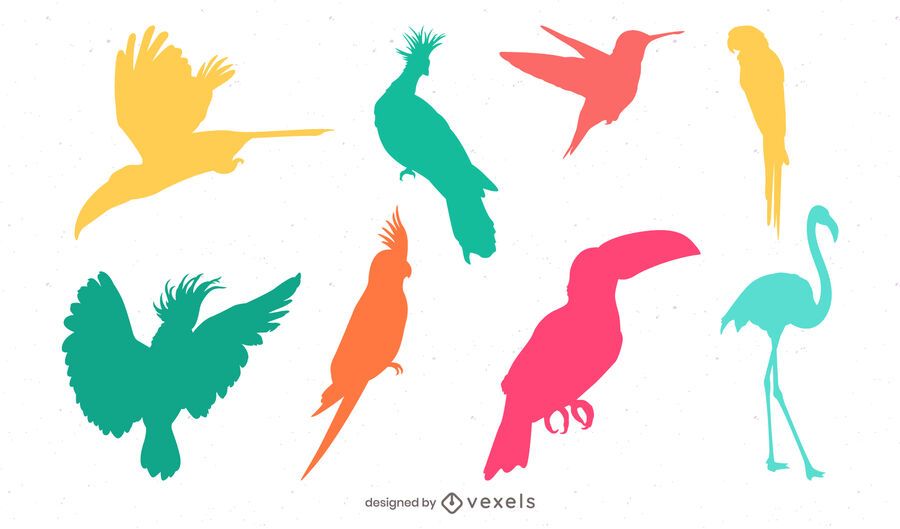 tropical bird silhouette set tropical bird silhouette set