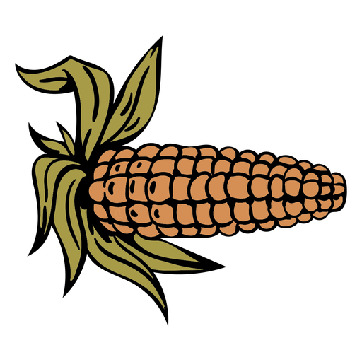 Hand drawn corncob husk thanksgiving