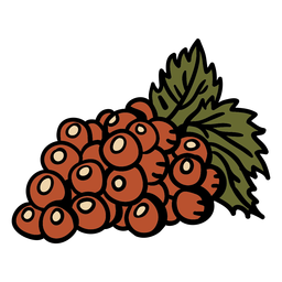 Hand drawn grapes bunch PNG Design