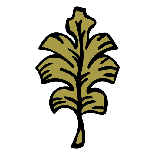 Hand gezeichnetes grünes Eichenblatt PNG-Design