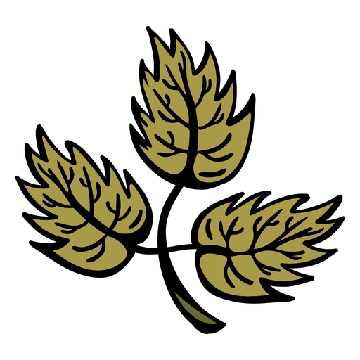 Hand drawn leave branch PNG Design