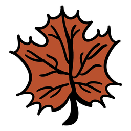Hand gezeichnetes Ahornblatt braun PNG-Design