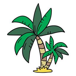 Palm tree hand drawn tree