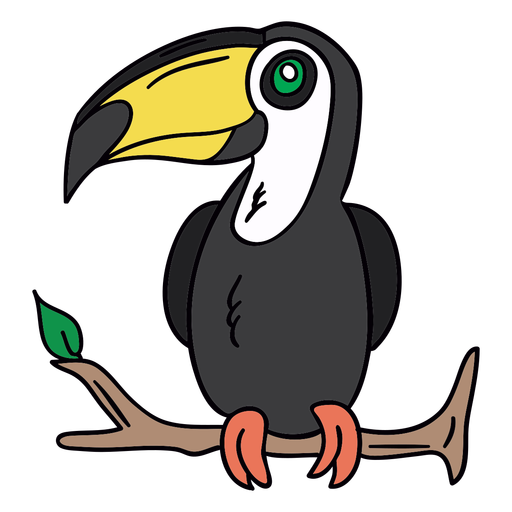 Toucan perch branch hand drawn