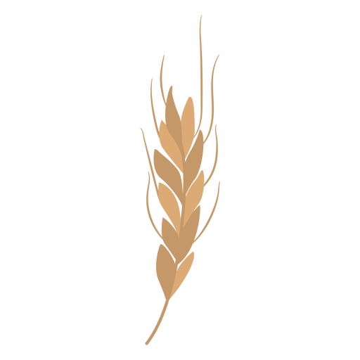 Rama de trigo plana Diseño PNG