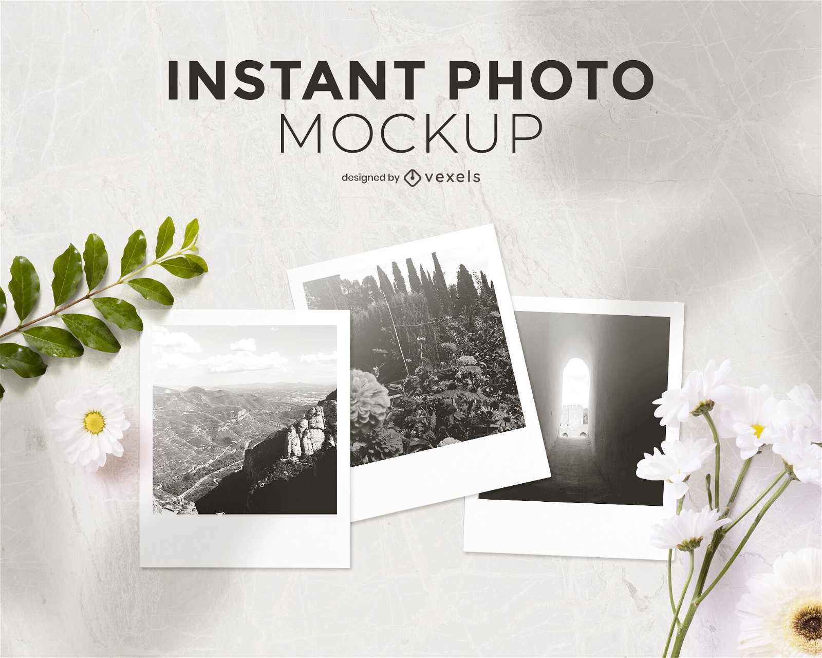 Pictures mockup composition