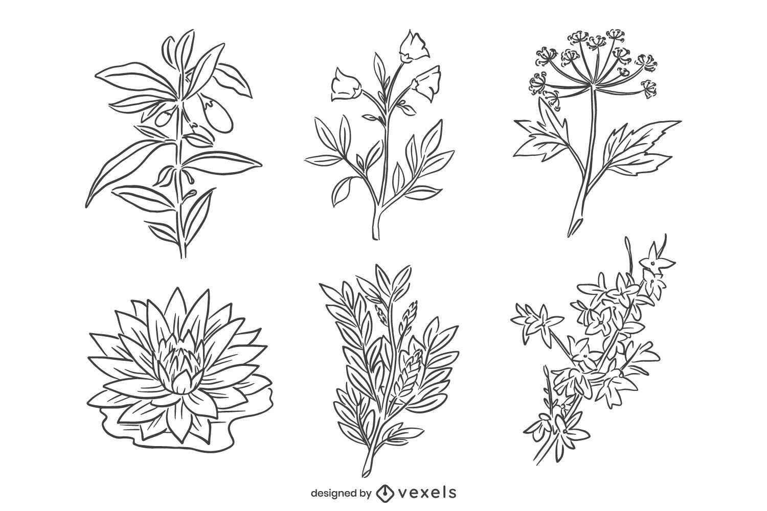 Chinese Hand-drawn Stroke Flower Pack