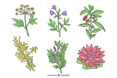 Pack de flores chinas dibujadas a mano Pack de flores chinas dibujadas a mano