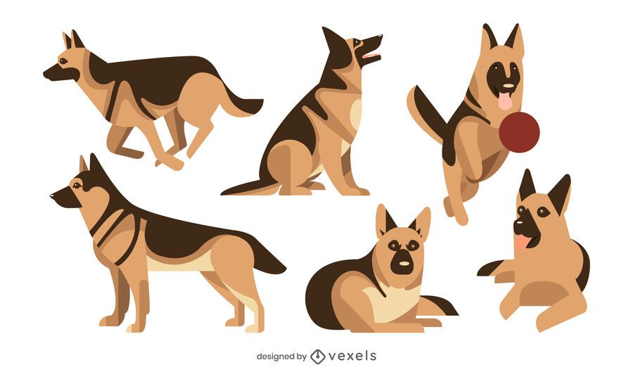 German shepherd flat illustration set German shepherd flat illustration set