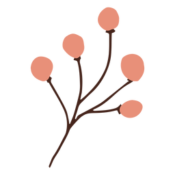 Branch buds flat PNG Design