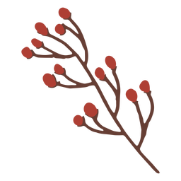 Brotes de flores rama plana Transparent PNG