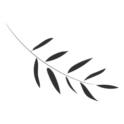 Plano de rama delgada gris Diseño PNG