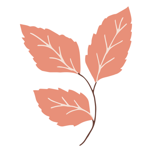 Blätter flach abzweigen PNG-Design