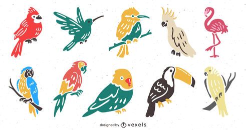 Conjunto de ilustración plana de aves tropicales Conjunto de ilustración plana de aves tropicales