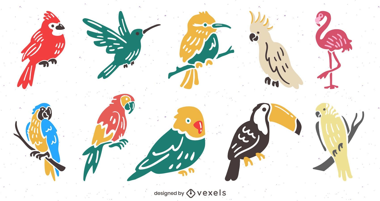 Tropical birds flat illustration set
