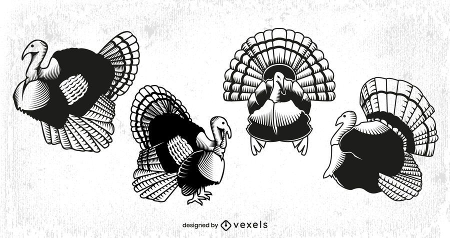 Thanksgiving turkey animal set Thanksgiving turkey animal set