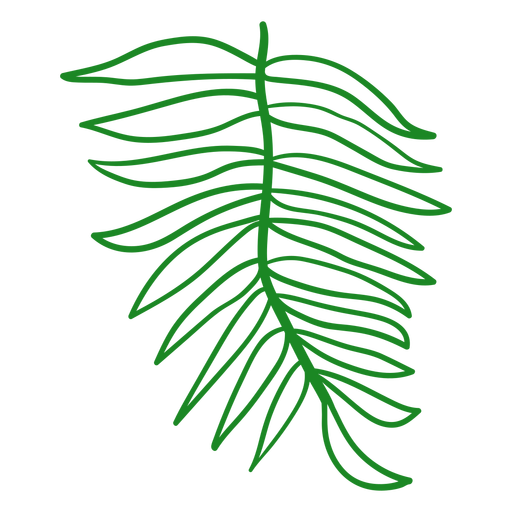 Folha tropical da palmeira de Areca desenhada ? m?o Desenho PNG