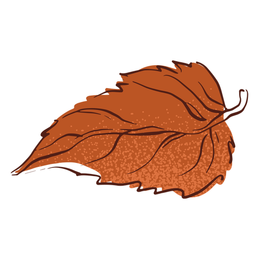 Dibujado a mano hoja de otoño Diseño PNG